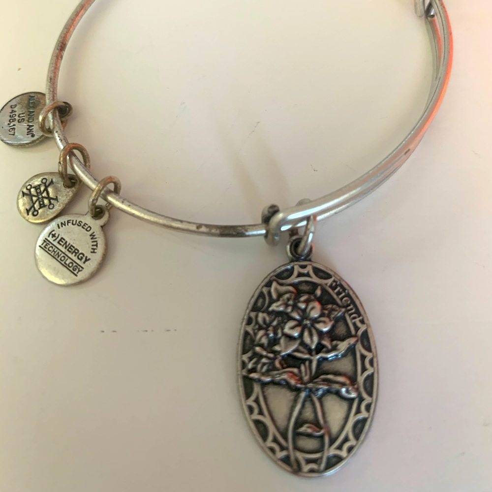 ALEX and ANI Charm bracelet
